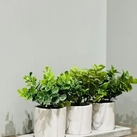 Au Coeur De Appartement Bruyères-et-Montbérault